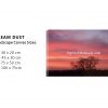 Sunsets26